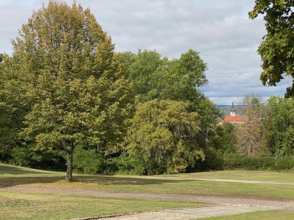 Ferienwohnung Micha'S Stadtblick Naumburg  Eksteriør billede